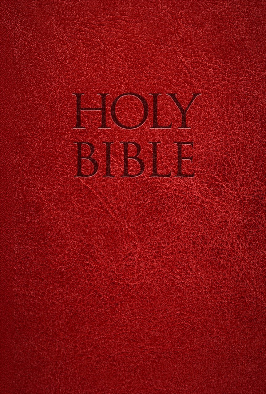 New American Bible Revised Edition (NABRE) Holy Bible Red