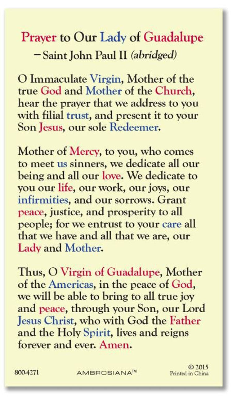 Our Lady of Guadalupe with Visions Laminated Holy Prayer Card