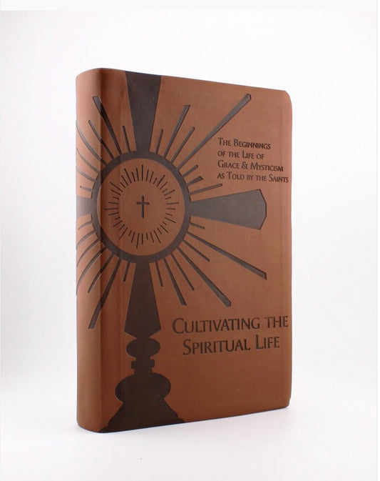 Cultivating the Spiritual Life: The Beginnings of the Life of Grace &amp; Mysticism as Told by the Saints