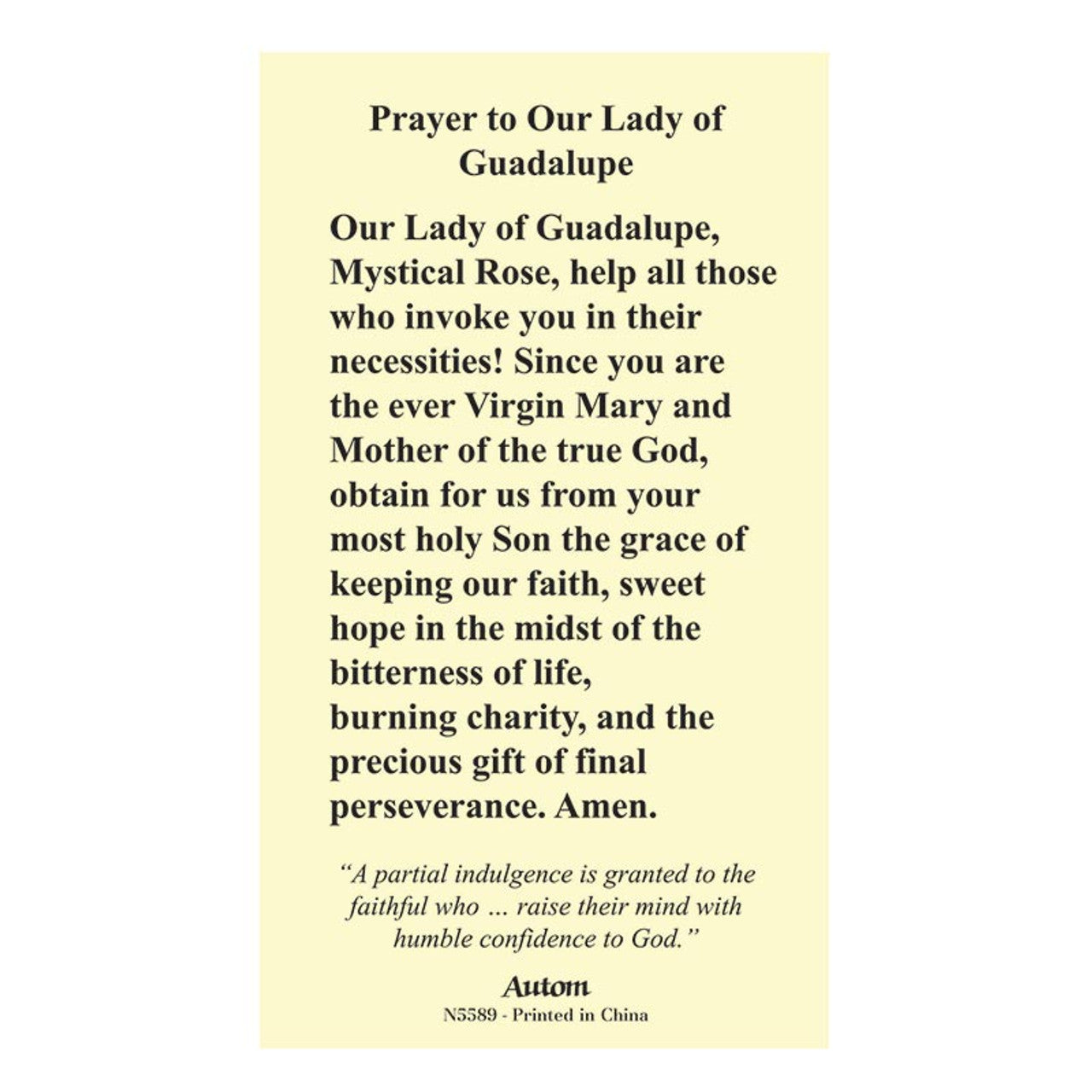 Laminated Our Lady of Guadalupe Holy Prayer Card