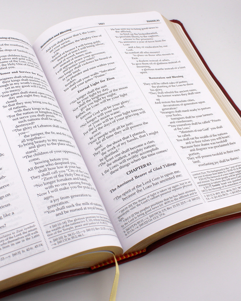 New American Bible Revised Edition NABRE Holy Bible Red The new-american-bible-revised-edition-nabre-holy-bible-red-the